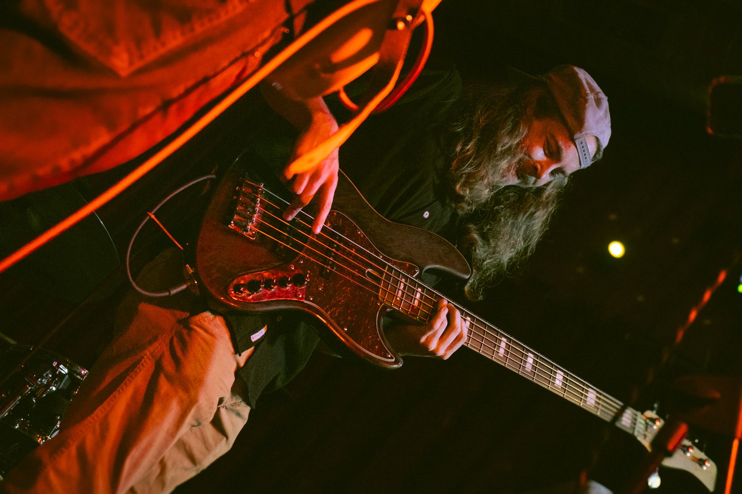 The Wingos playing live